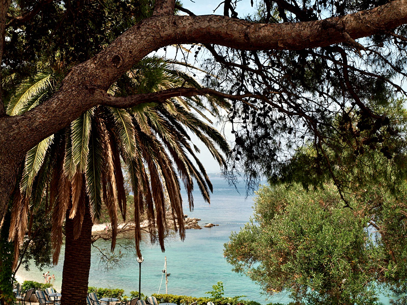  :     . Sea side  sea view?